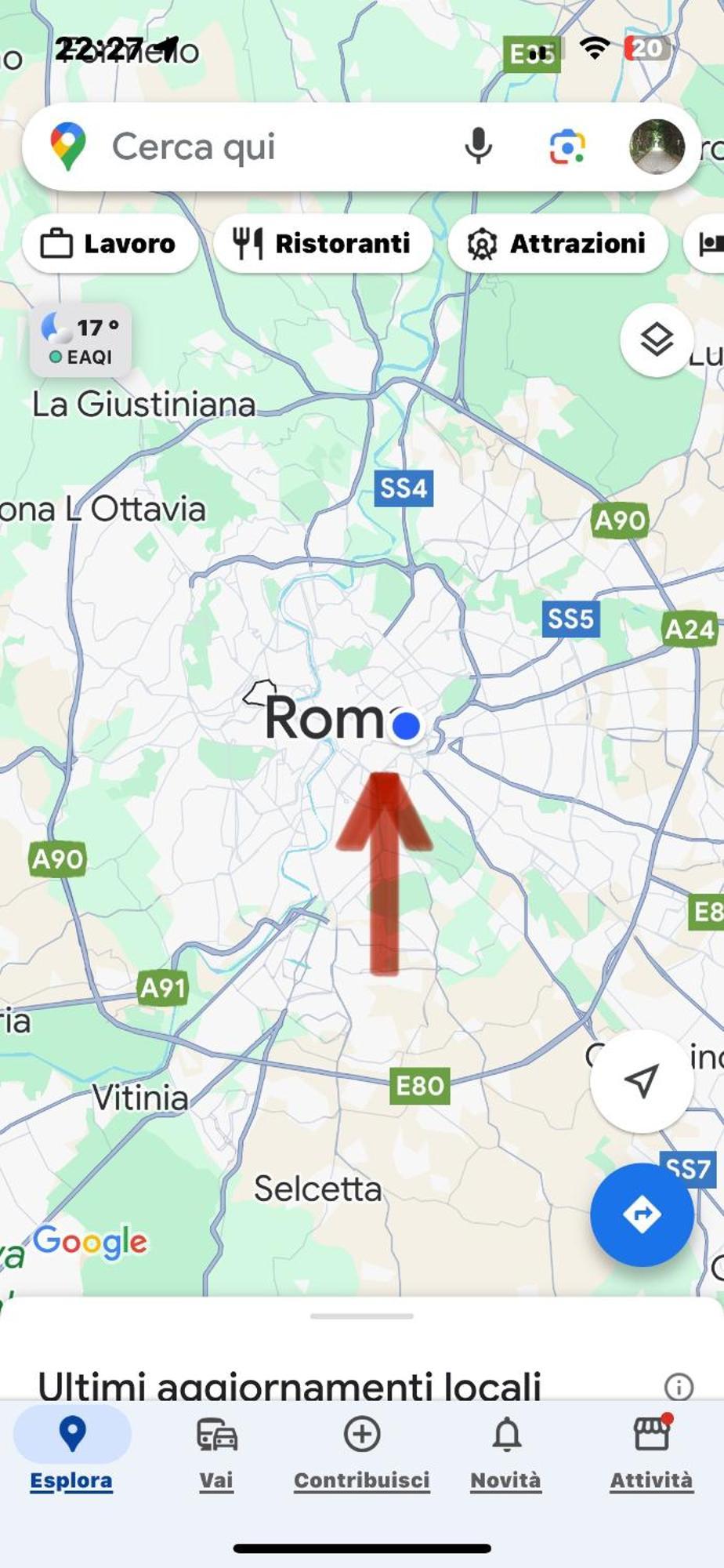 Vanella Domus Roma