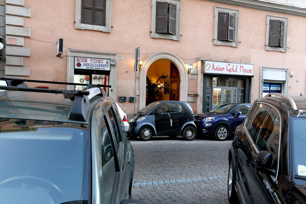 Vanella Domus Roma